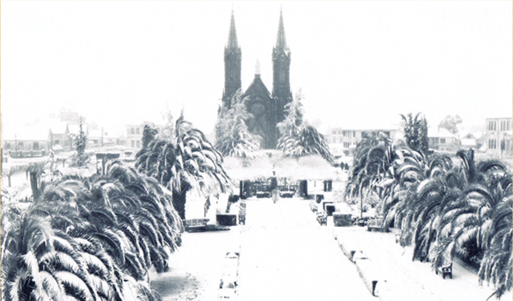 A Catedral ao fundo de uma praça de palmeiras, tudo coberto de neve.